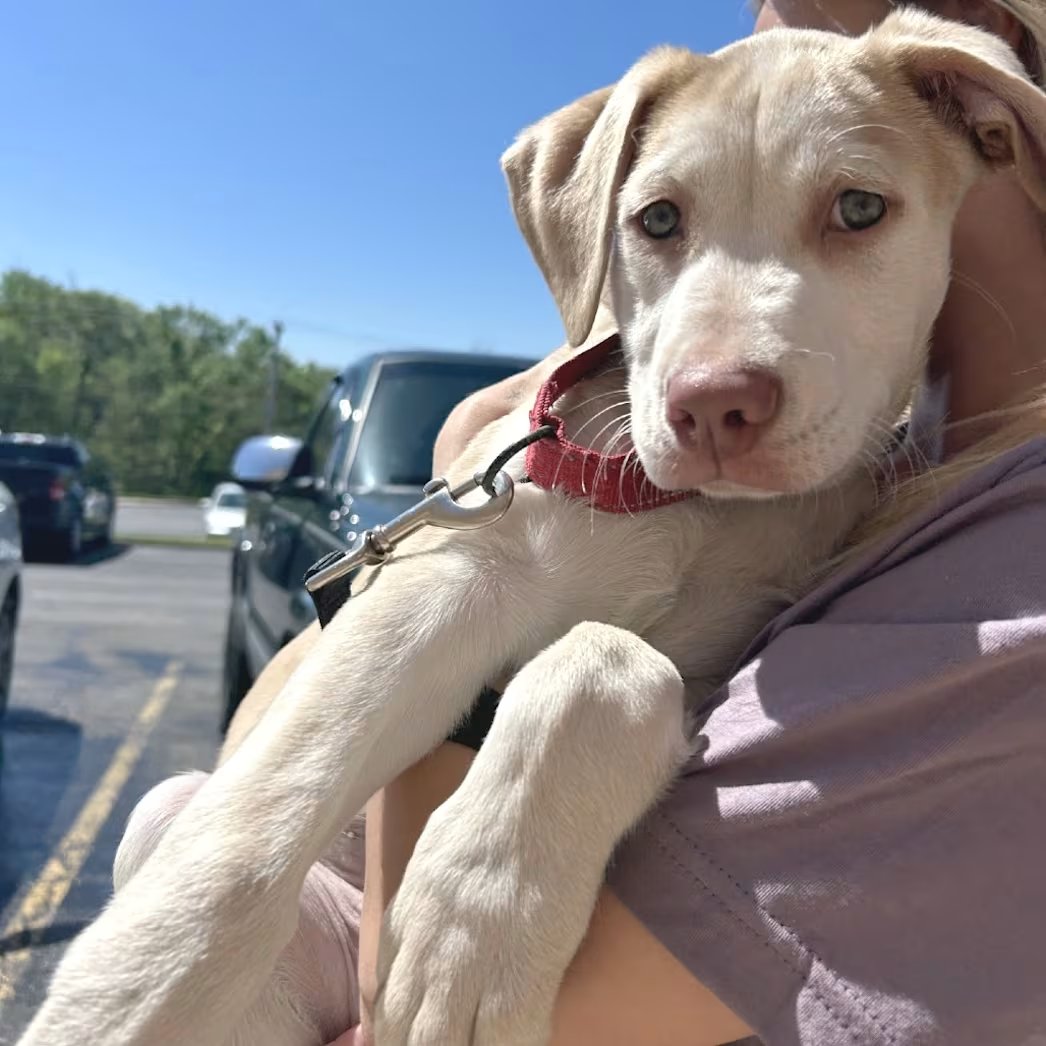 Տᗩᑎᗪᖇᗩ tweet media