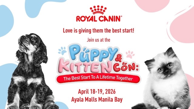 wheresrr's tweet image. New Pet, New Questions: What First-time Pet Parents Often Overlook Early On -  wheresrr.com/2026/04/17/pla… 

#WheresRR #pet #royalcanin #latest #news #newest #update