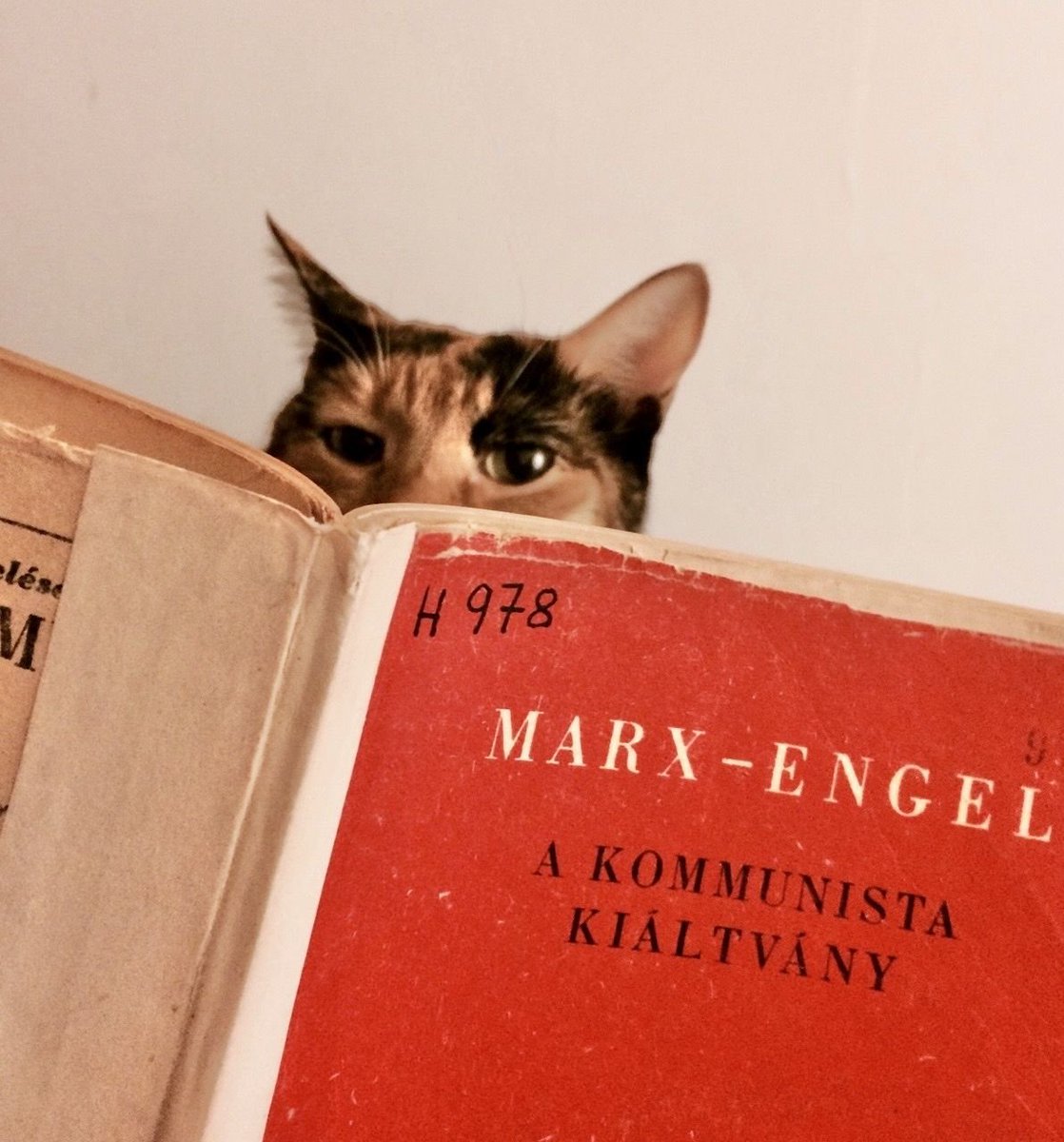 Antifa_Ultras tweet media