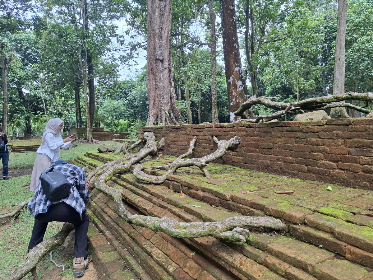 Chasing Peatland 🇵🇸 tweet media