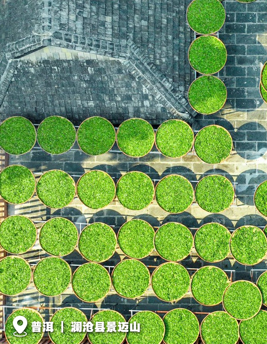 Amazing Honghe tweet media