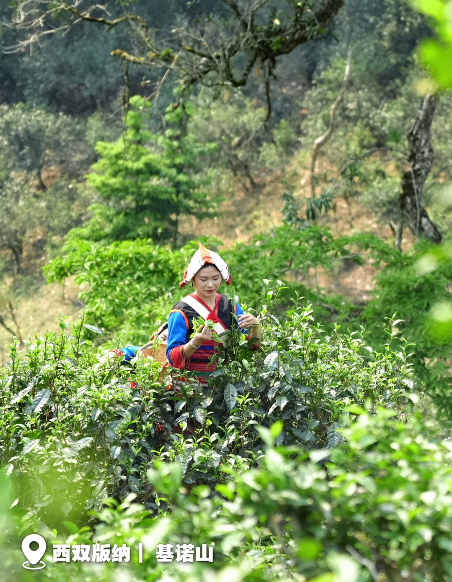 Amazing Honghe tweet media