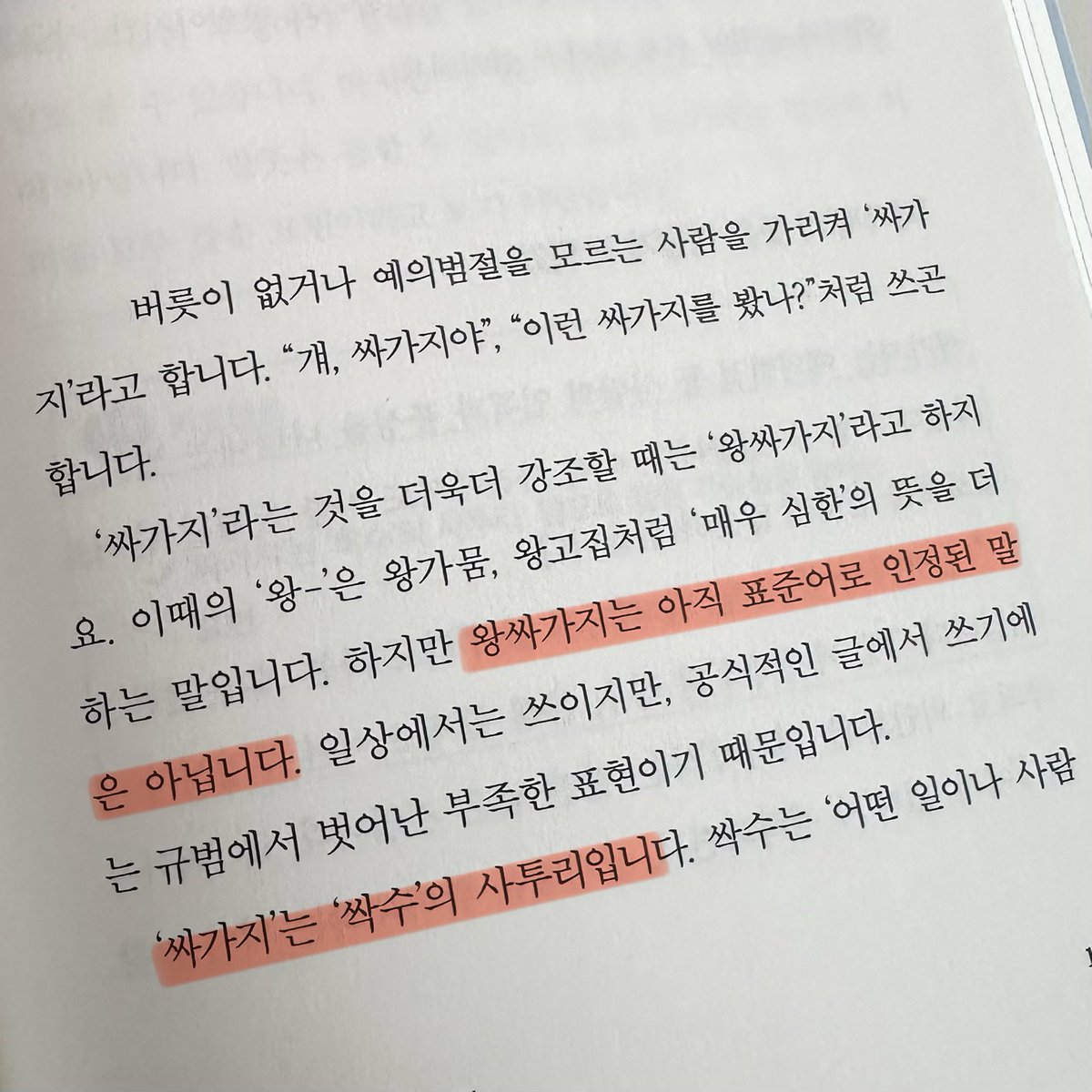 정지음 tweet media