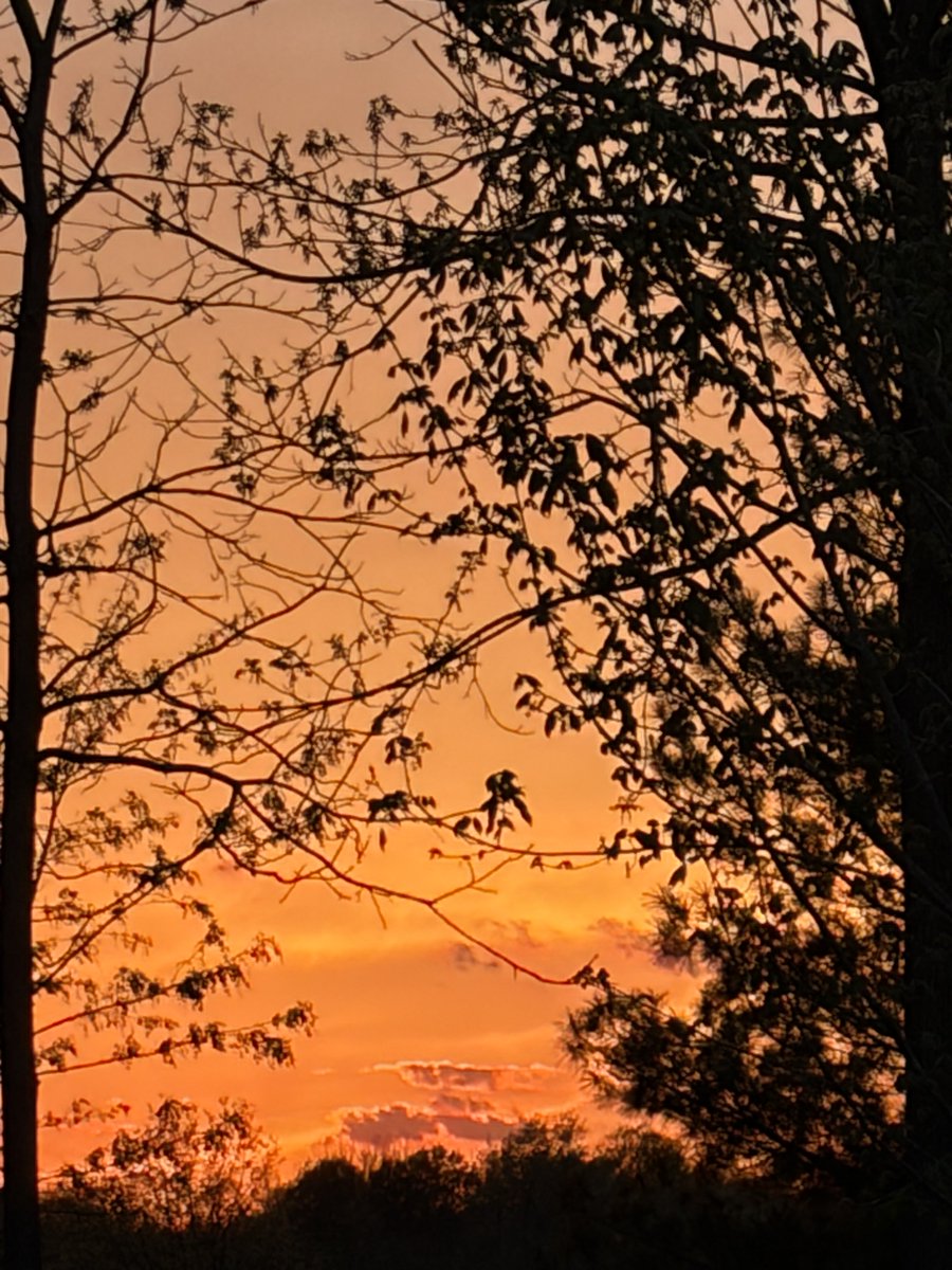 Beautiful evening 💜