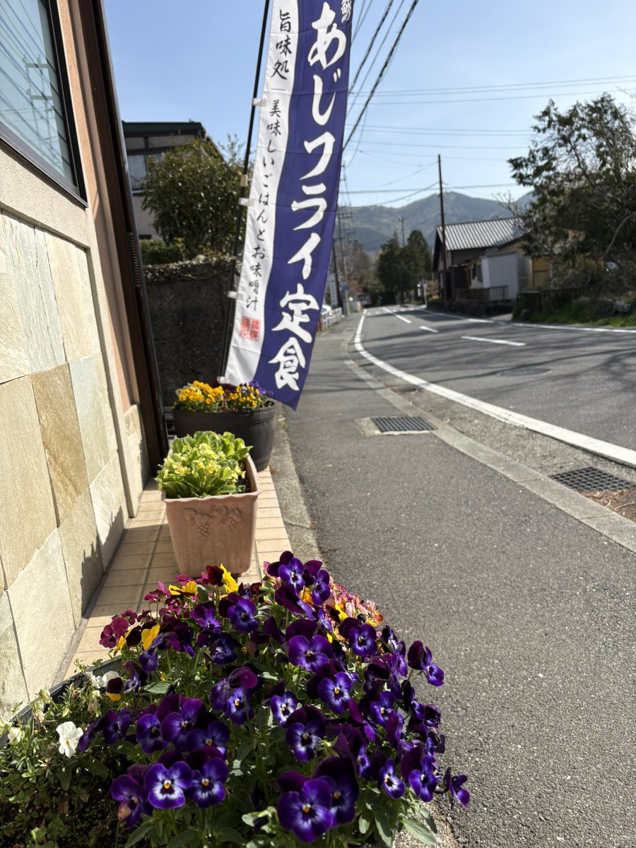 uosei2007's tweet image. おはようございます✨
4月17日(金)
#仙石原 の朝は⛅️です。
気温は10℃〜
変わりやすい天気になりそうです。

✨ 本日のおすすめ ✨
• お刺身定食
• 鯵たたき＆エビフライ定食
いかがでしょうか？

皆様のお越しをお待ちしております。
良い一日を‼️

宜しくお願い致します🙇🙇

#hakone 
#箱根