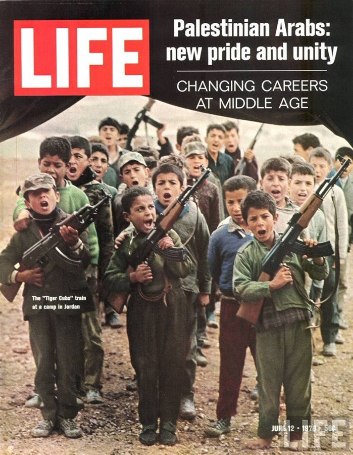 Eli Afriat 🇮🇱 tweet media