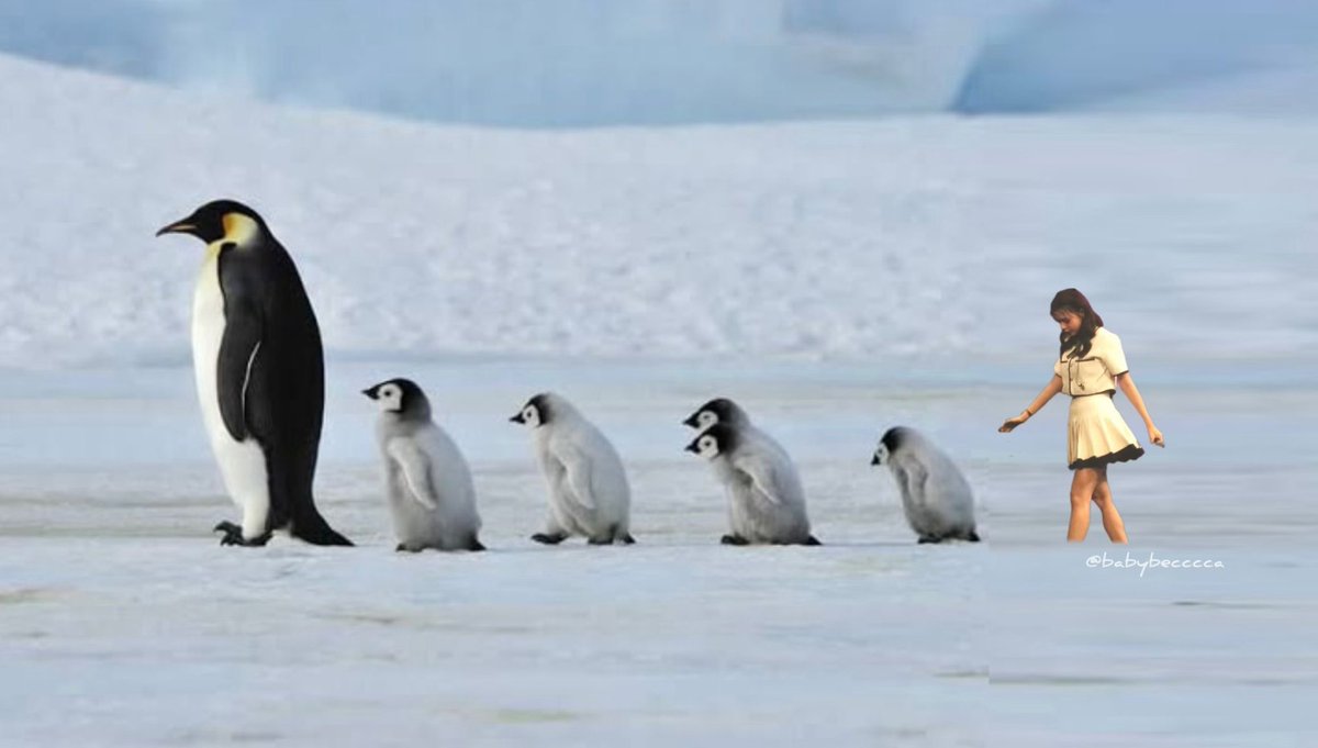 กะปิปลาร้า ผ่าออกมาเป็นฟรีนเบค🧚🏻‍♂️🌷 tweet media