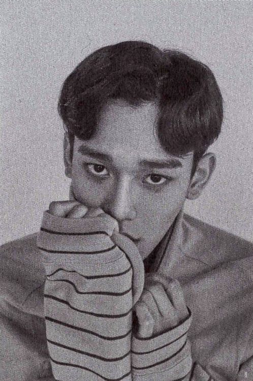 kim jongdae archive tweet media