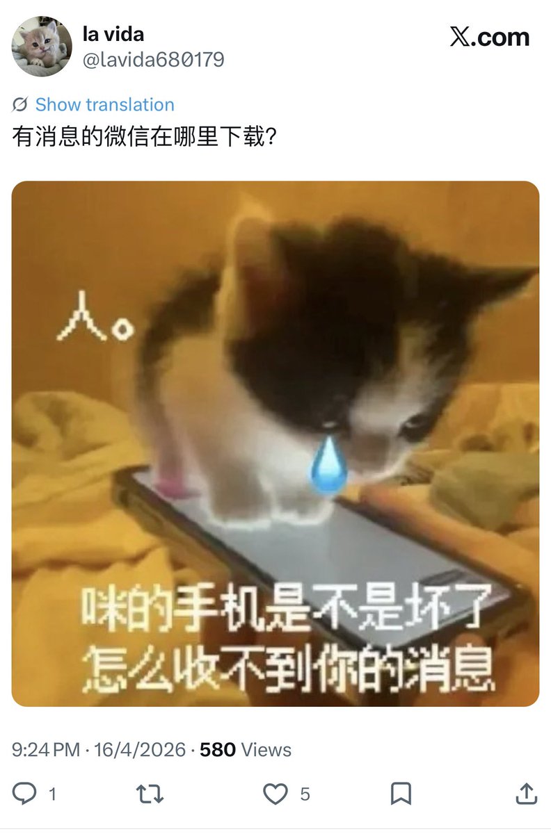 mel最没生活之人 tweet media