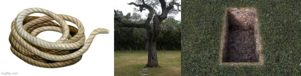 LastBornBoomer tweet media