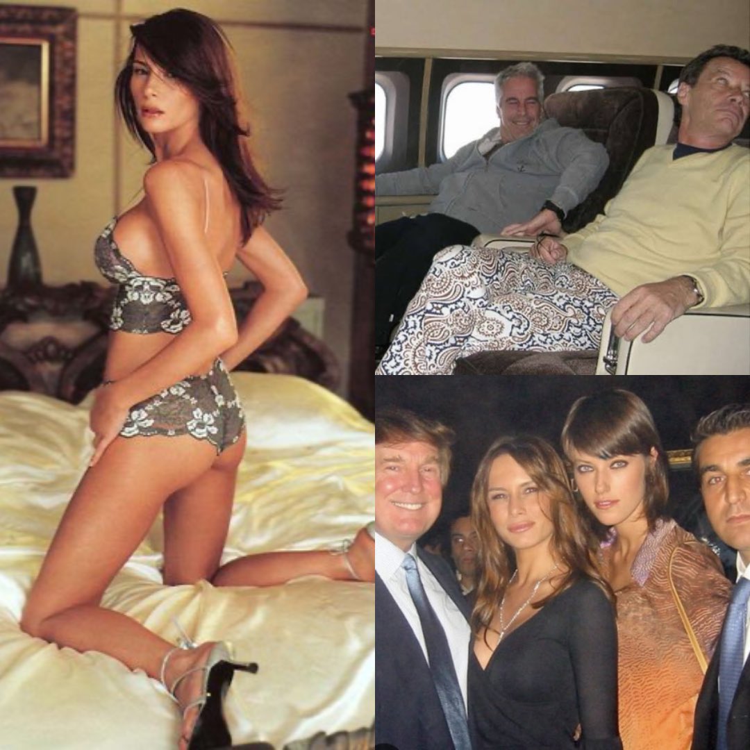 David Vargas Araujo tweet media