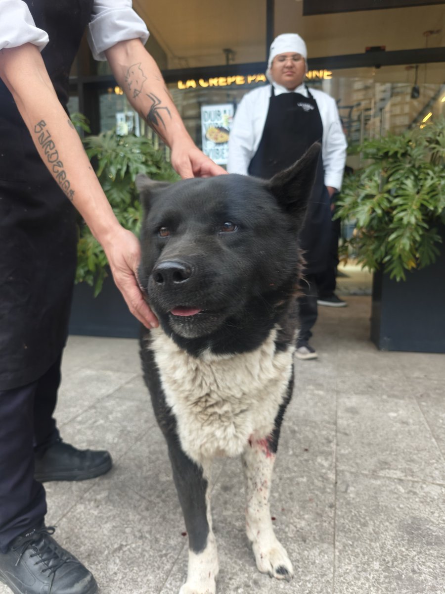 Gerardo Moreno tweet media