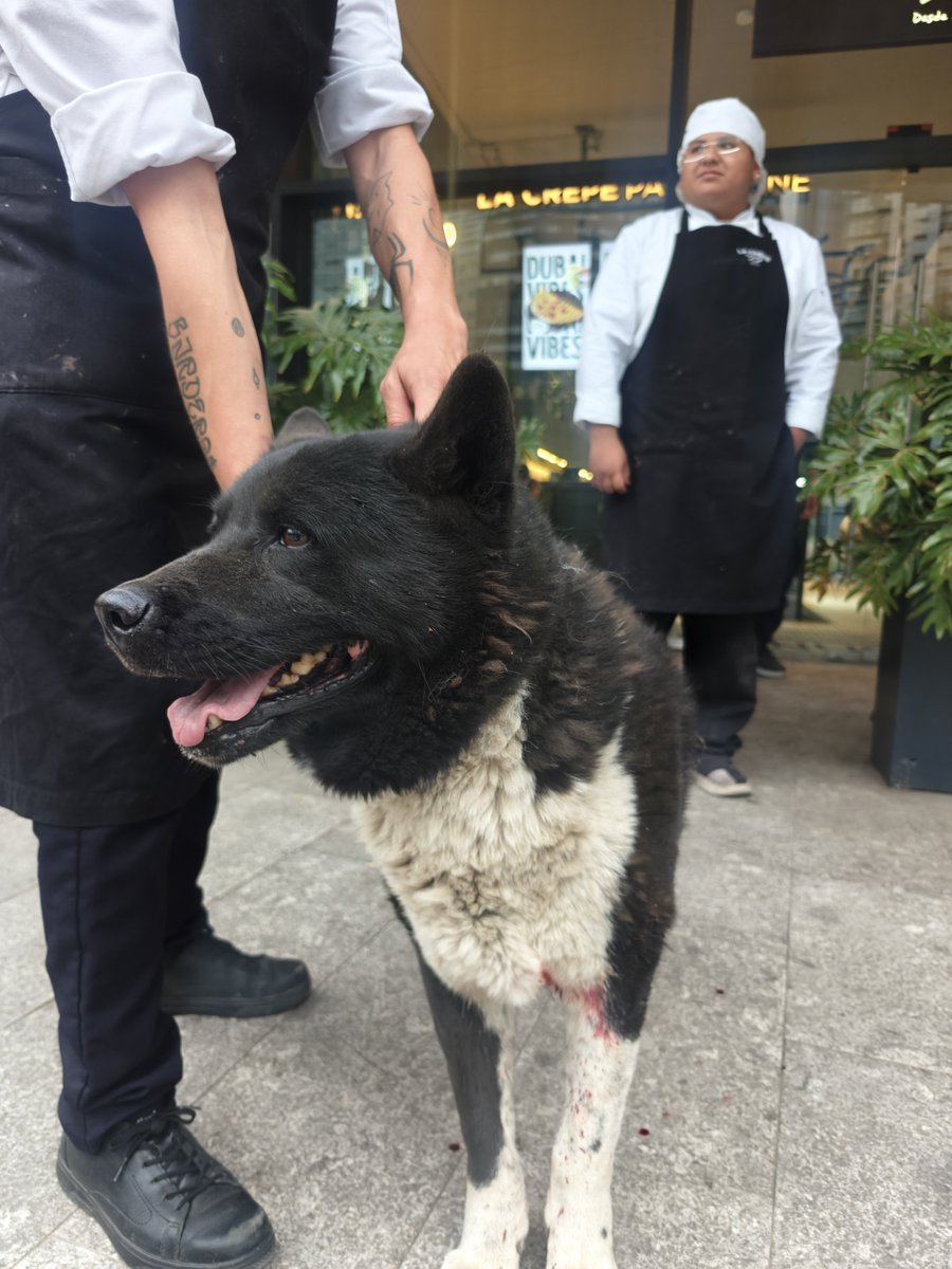 Gerardo Moreno tweet media