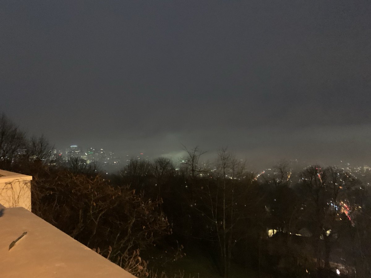 Gad Saad tweet media