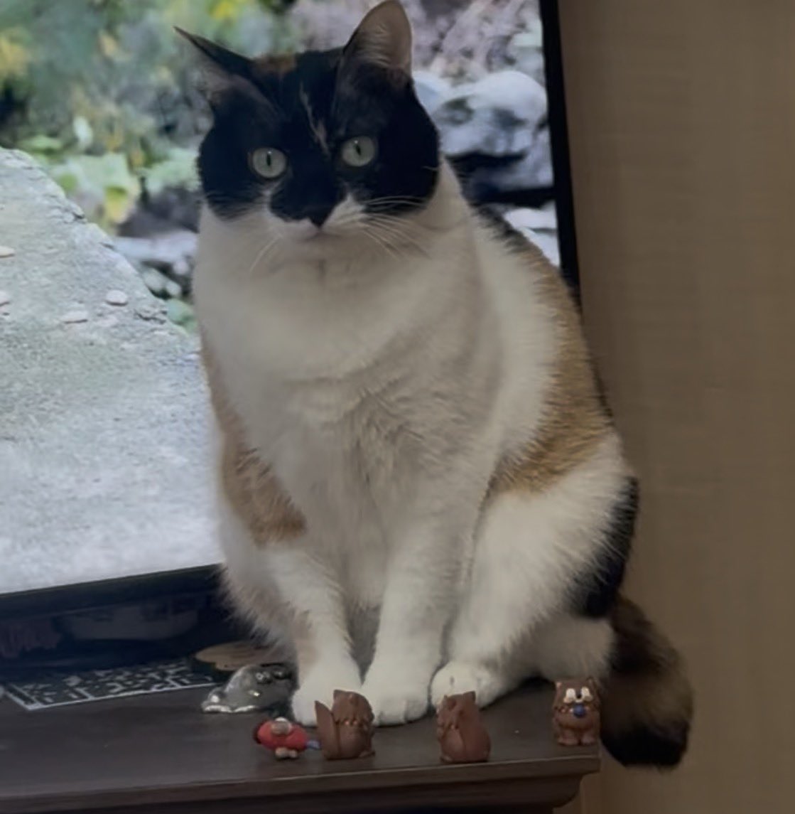 雷十太先生 tweet media