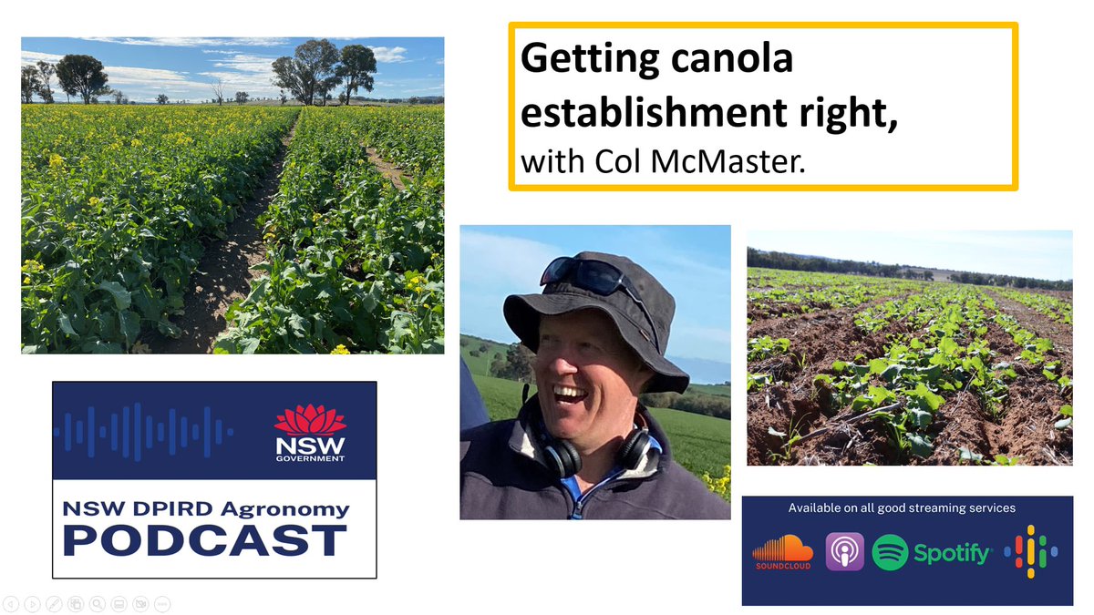 NSW Agronomy tweet media