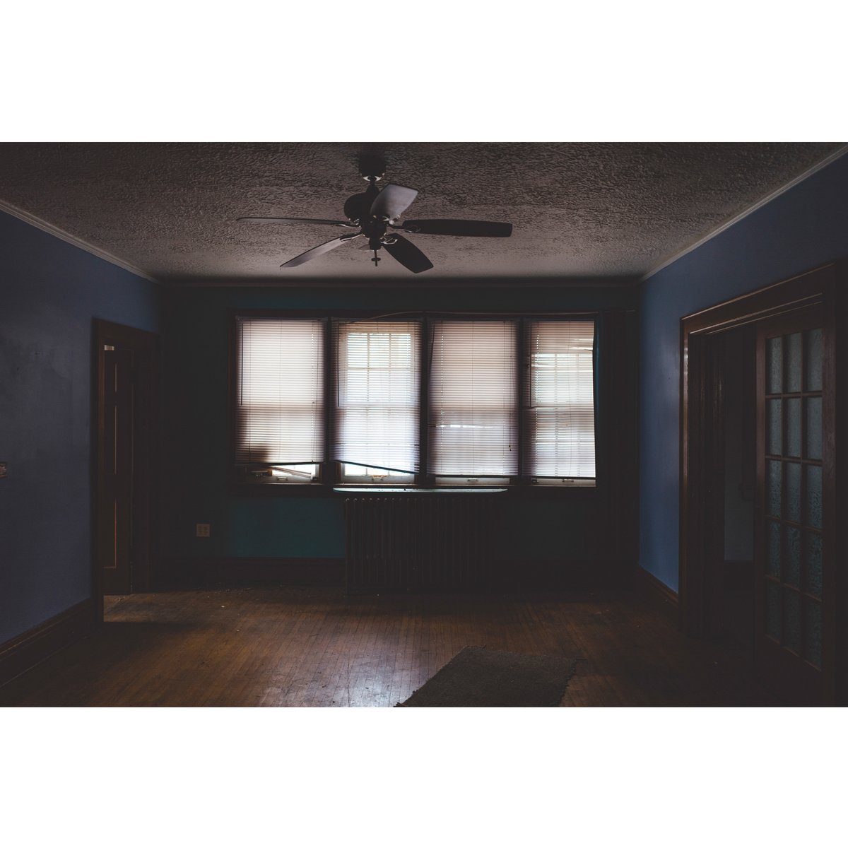 RealJonathanCastellino tweet media