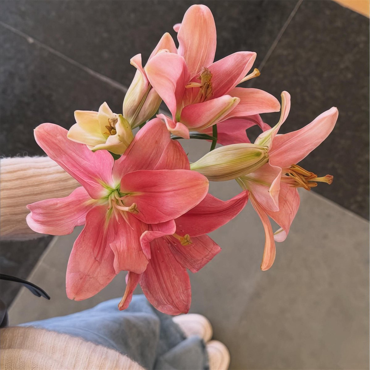 Blue Sapphire tweet media