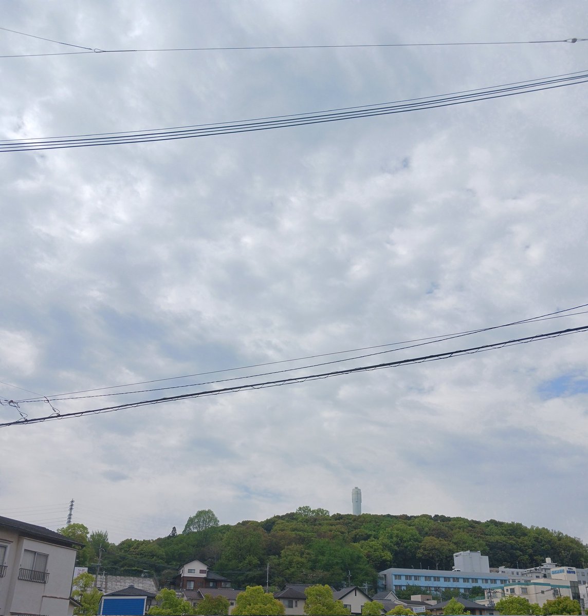 ムビサポQ┊︎映像制作 tweet media