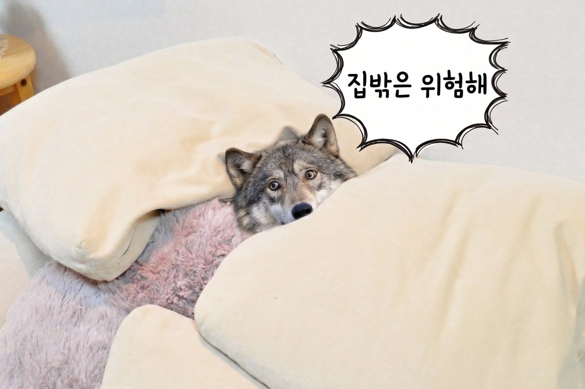 이디야커피 tweet media