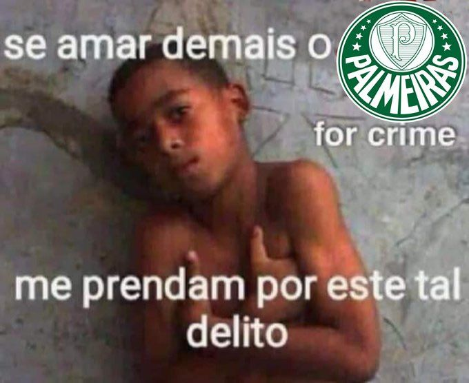 tami ✶ juridico gustavo gomez tweet media