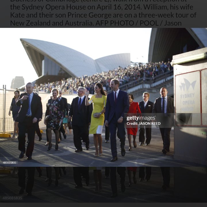 LunaB_2 🦖👑 tweet media