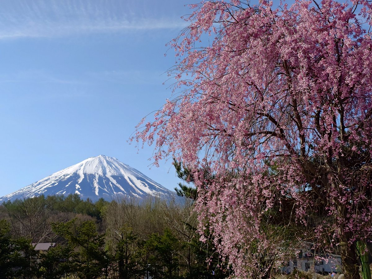 たっちゃん@鳴沢 tweet media
