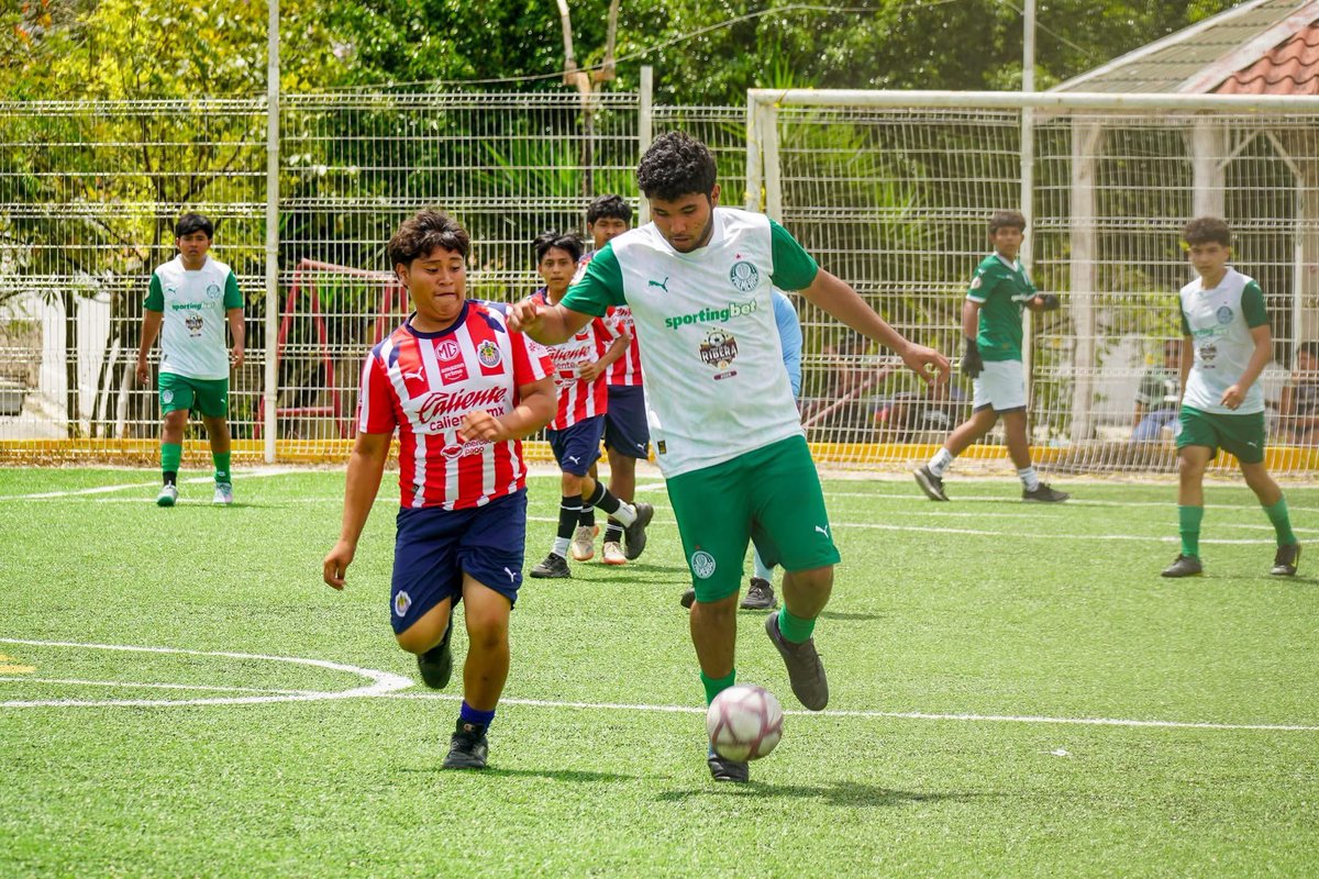 Instituto Quintanarroense de la Juventud tweet media