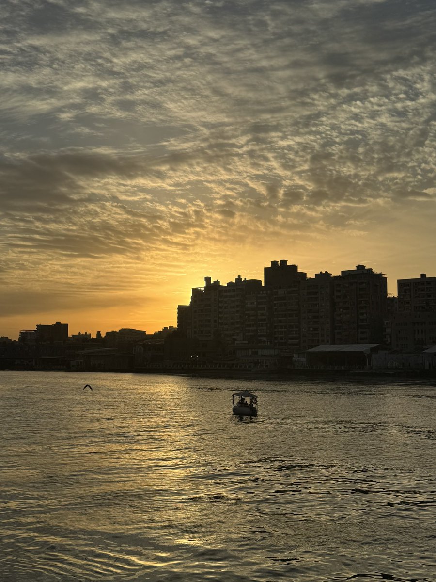 nada🇵🇸 tweet media