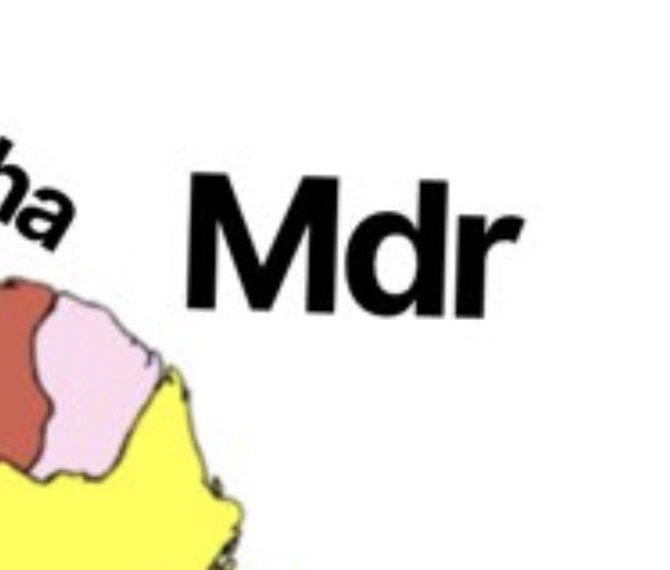 WhoDuzntLuvCheeze tweet media