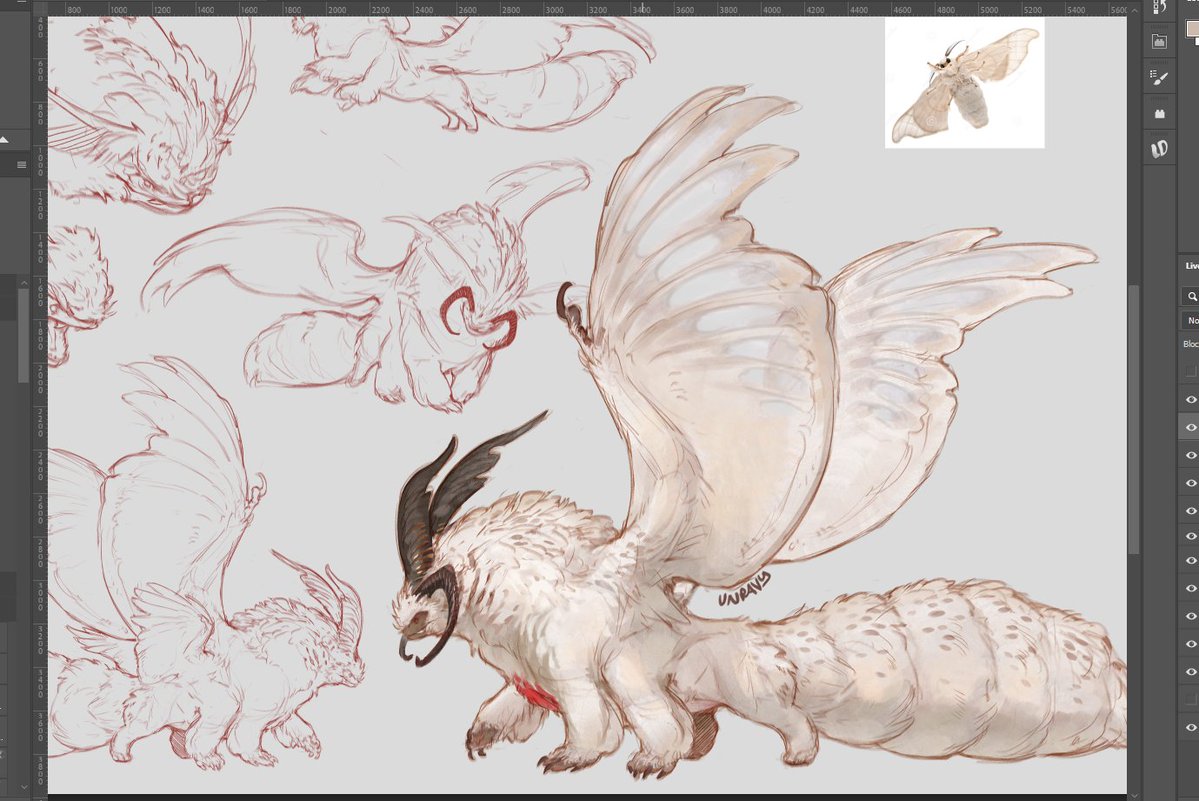 WIP - next mothdrake is a domestic silkmoth! One of my favorites, will be up for grabs next week! ✨ 

I never tried pre-bids, but if anyone is interested, you can drop offers above €100!