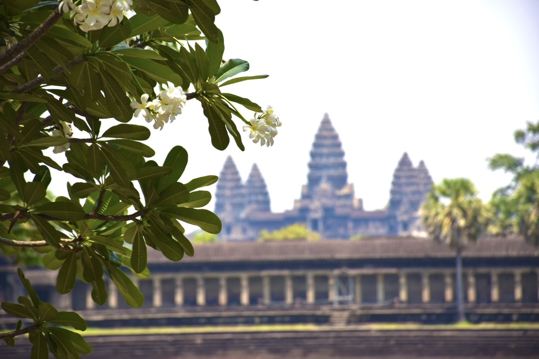 Cambodia Note🇰🇭カンボジア旅行の魅力を発信 tweet media