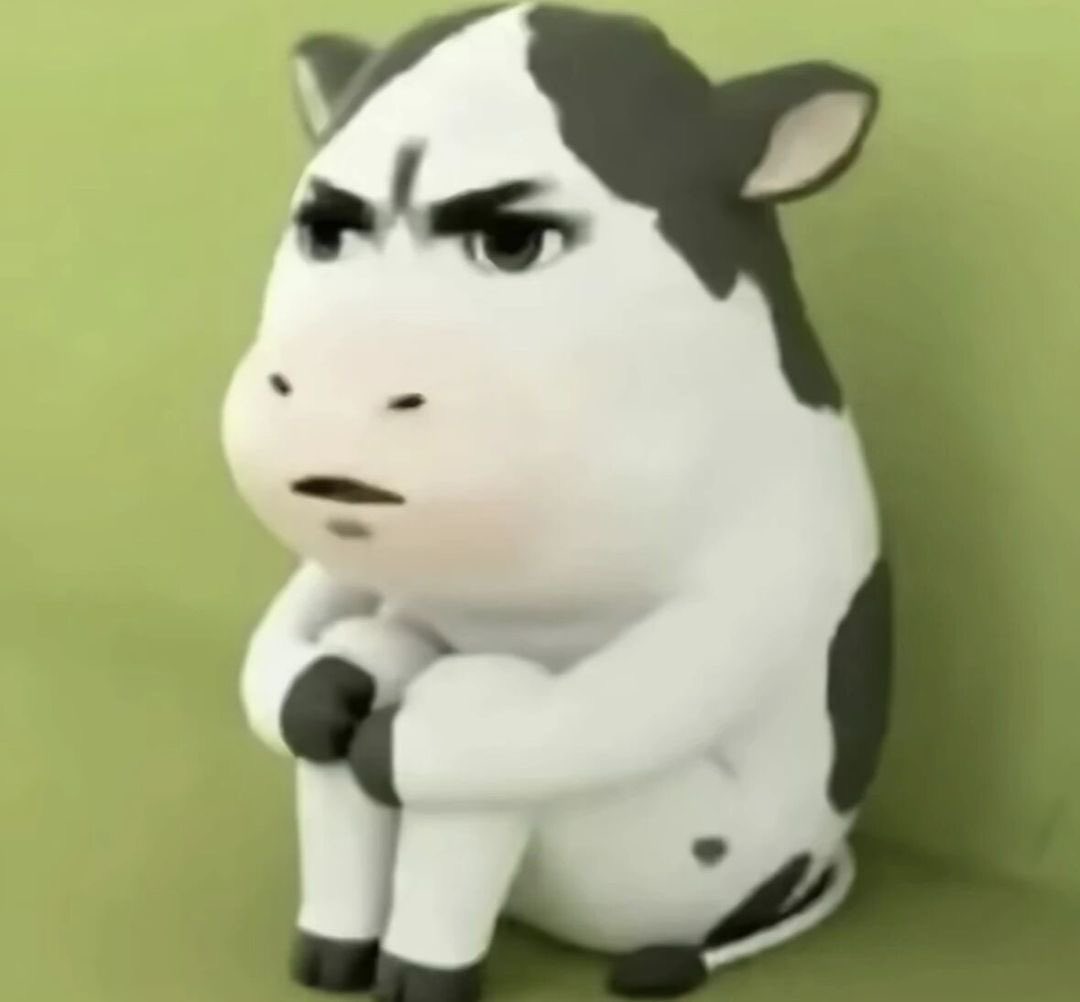 绝不吃鱼 tweet media