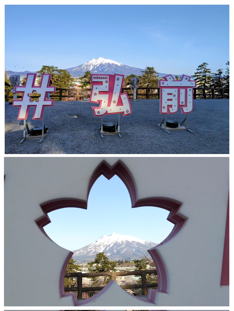 ちひろー。 tweet media