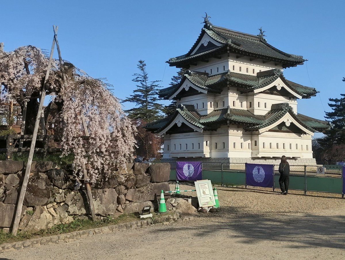 ちひろー。 tweet media