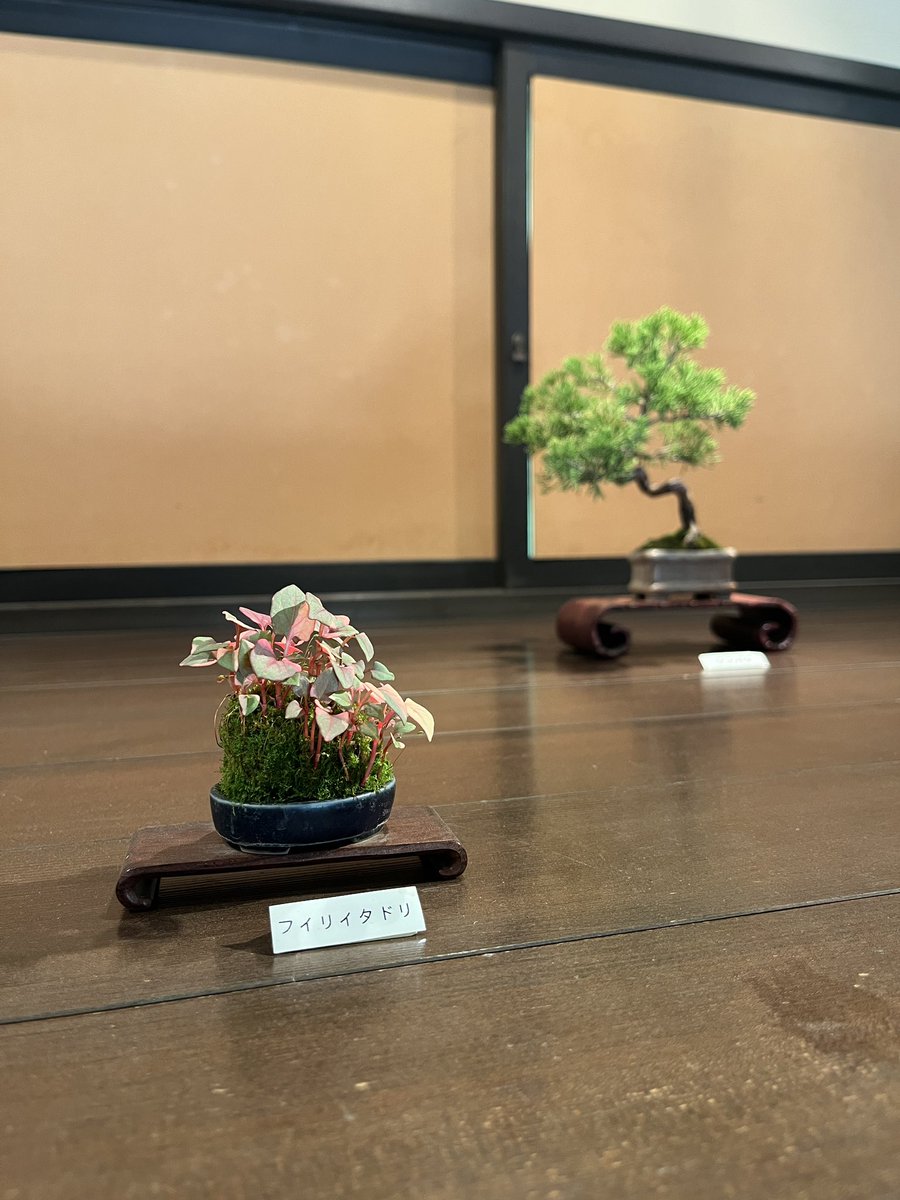 昭和記念公園セグウェイツアー【5月まで予約受付中】 tweet media