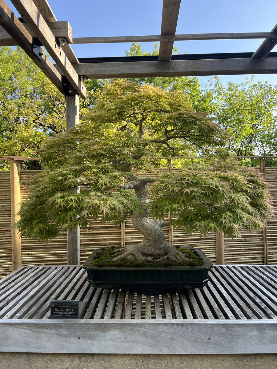 昭和記念公園セグウェイツアー【5月まで予約受付中】 tweet media