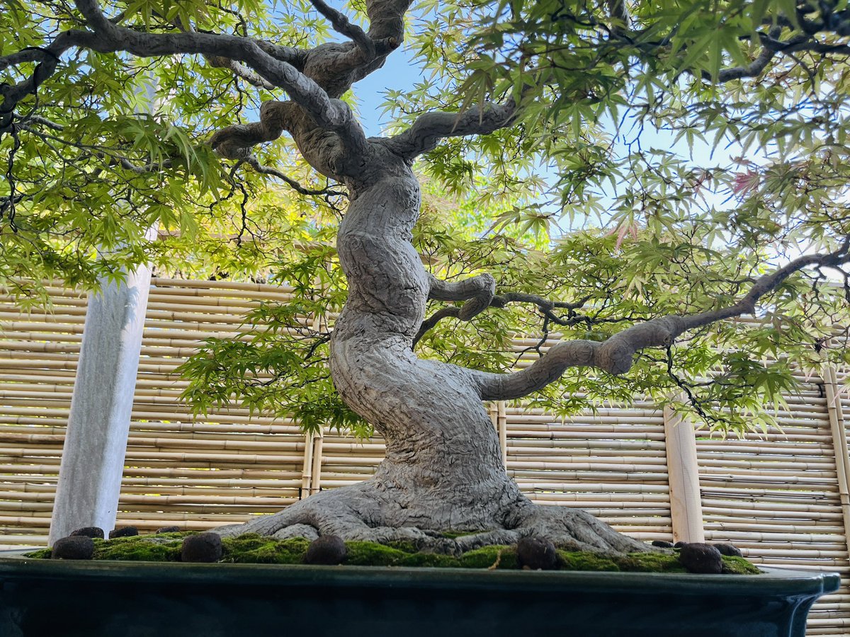 昭和記念公園セグウェイツアー【5月まで予約受付中】 tweet media