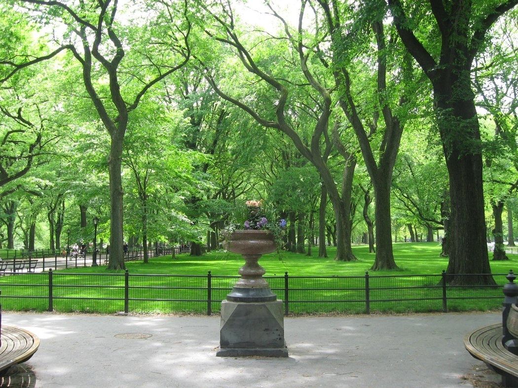 CentralPark_NYC's tweet photo. The Mall’s American elms in full spring green, one of the most breathtaking canopies in any city and a reminder of why this place feels unlike anywhere else.
#centralpark #themall #springinnyc https://t.co/uL2nCpdhFh