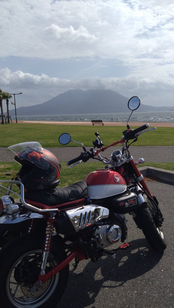 ミニぐりぶー tweet media