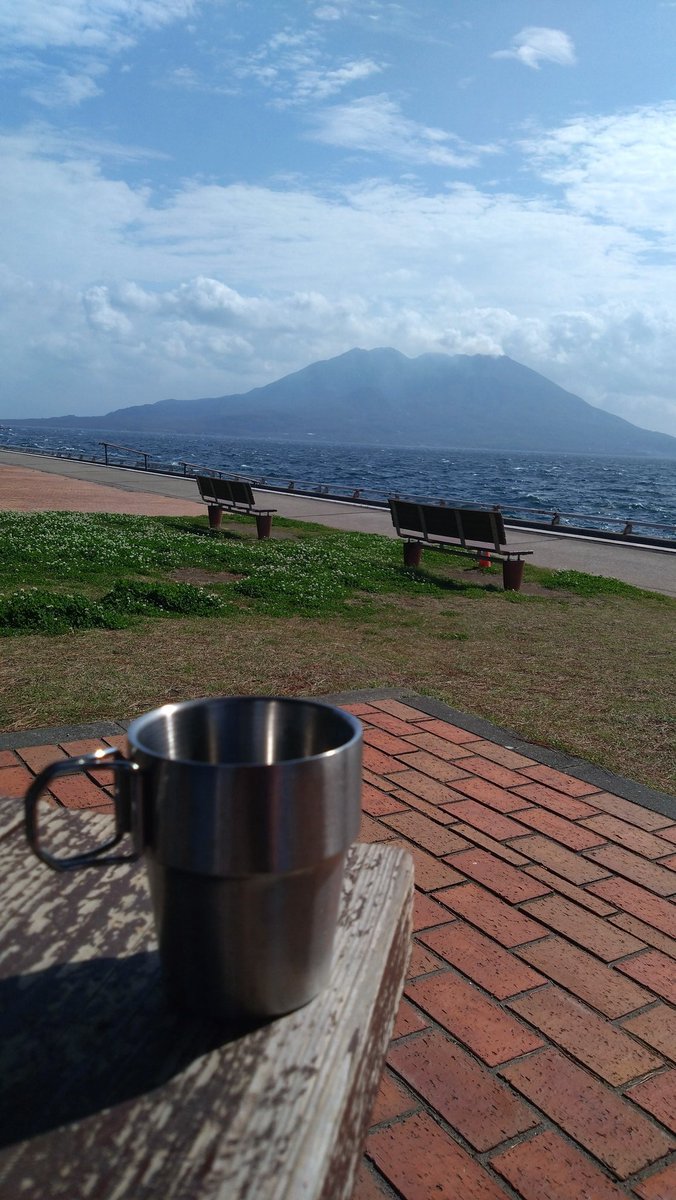 ミニぐりぶー tweet media