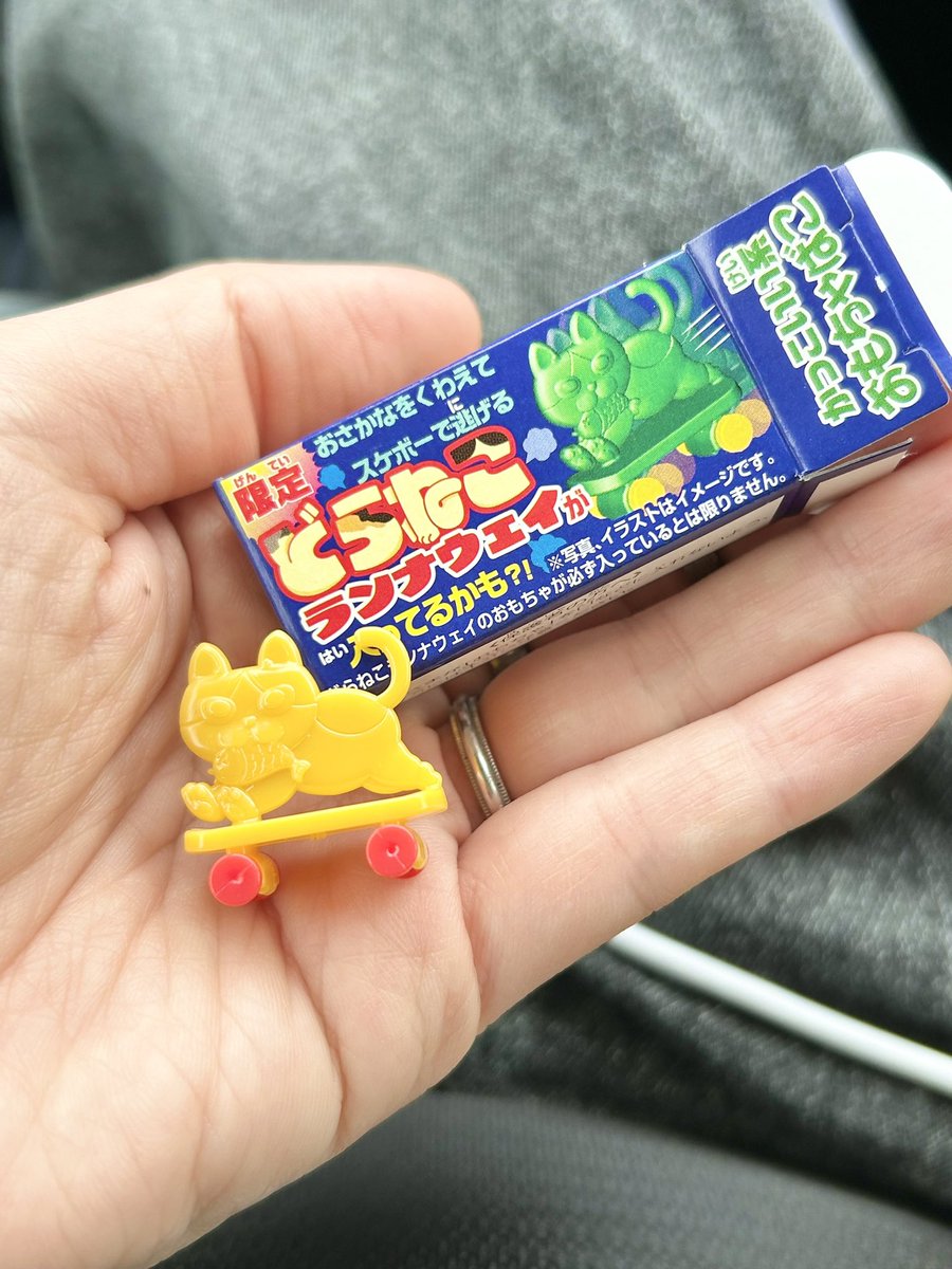 マグネット純 tweet media