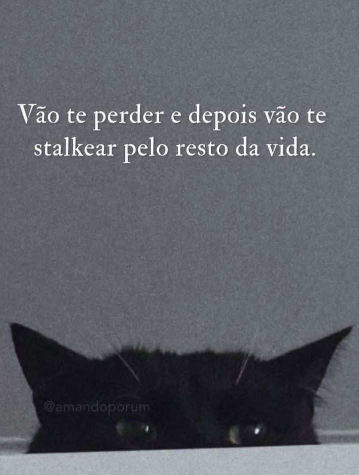 teu caos (@sobreteucaos) on Twitter photo 