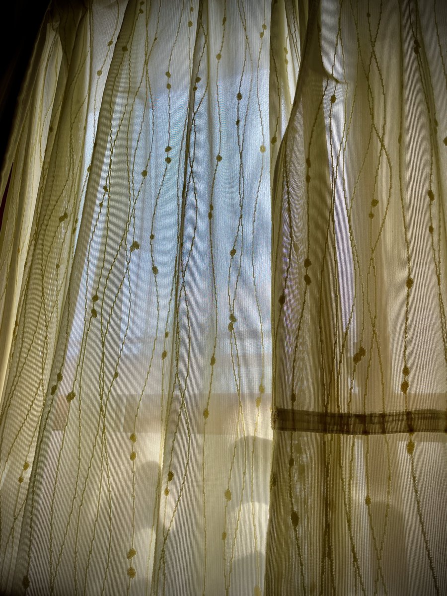 辰巳'小五郎'光英 tweet media