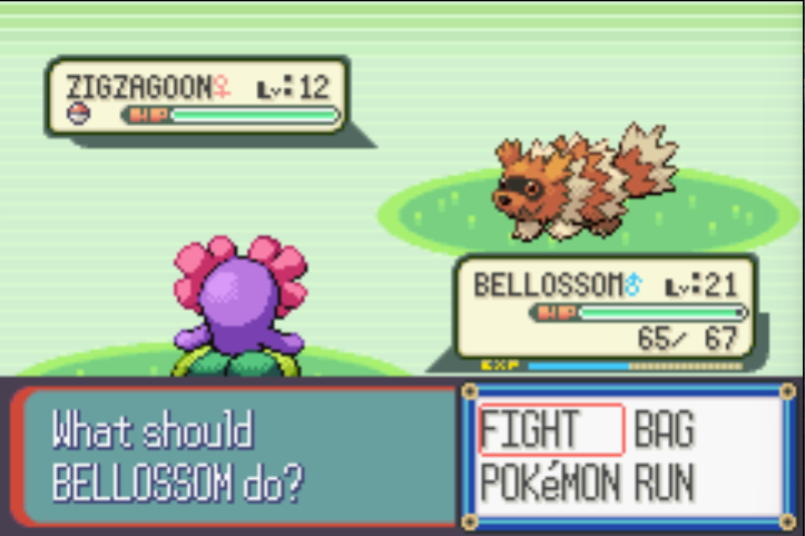 _robg700's tweet photo. ✨Shiny Zigzagoon✨

phase 8 in the hunt for Plusle after 4758 encounters. something new shined on route 110 🧡 https://t.co/A4aoEXd9a3