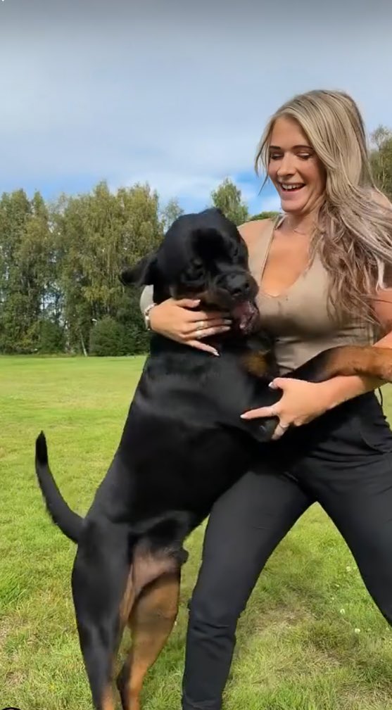 Sabrina Paws tweet media