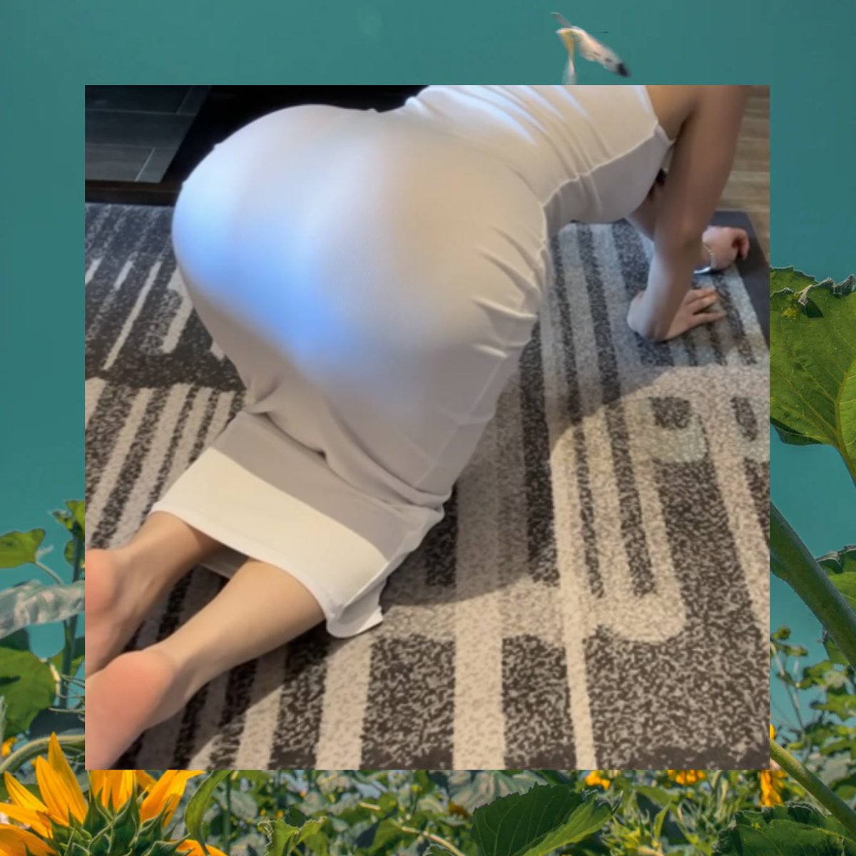 Lisa Wolfe tweet media