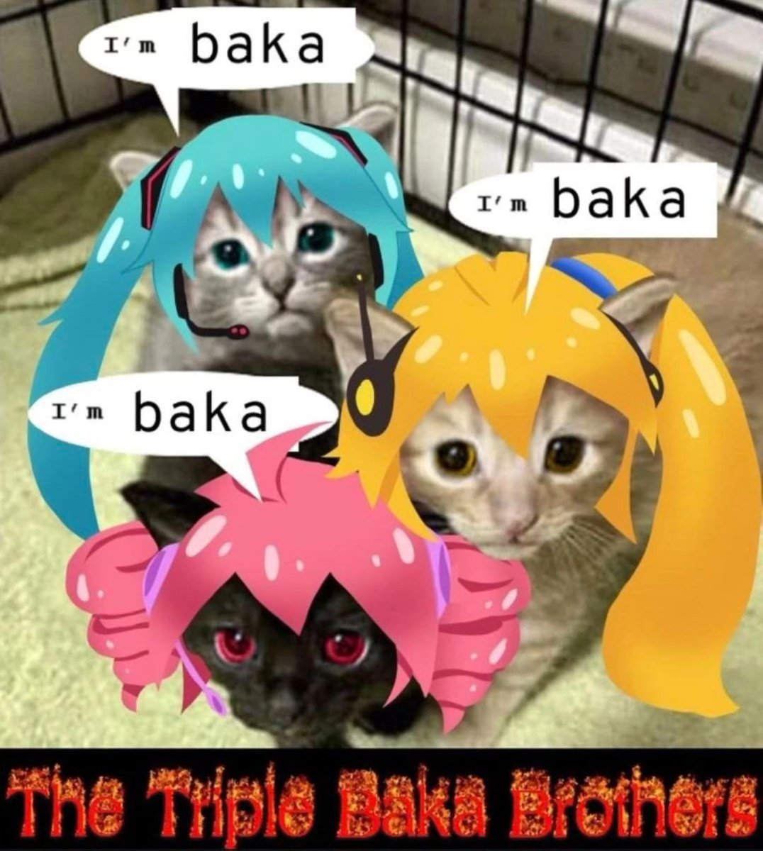 Miku tweet media