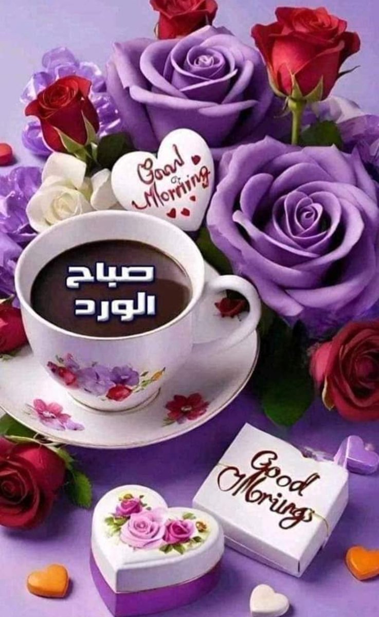 𝐀𝐇𝐌𝐄𝐃 𝐌𝐀𝐉𝐄𝐃 tweet media