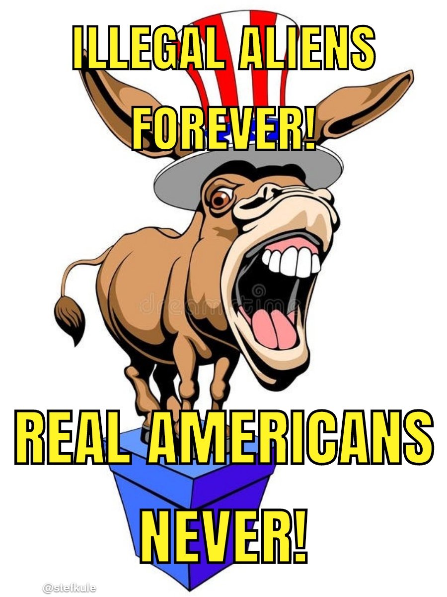 KamikazeCows tweet media